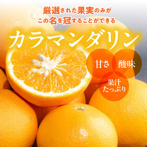 【2027年先行予約】和歌山県産　カラマンダリン　約3kg　家庭用_ZE6502