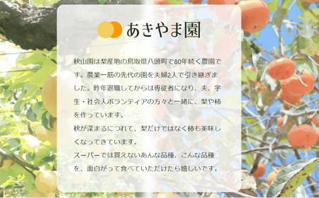 Y1067 新雪梨(特秀) 5kg