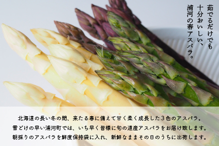 【4月上旬頃より発送！】北海道浦河産 アスパラガス3色食べ比べセット(1kg)[03-133]