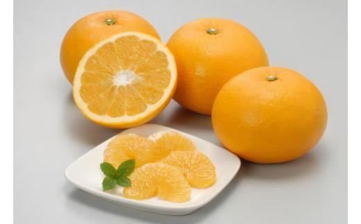 【先行予約】サンフルーツ（生果5kg）※離島への配送不可（2026年2月上旬～3月上旬頃に順次発送予定） 【 ふるさと納税 人気 おすすめ ランキング 柑橘 みかん ミカン サンフルーツ mikan 蜜柑 果物 生果 フルーツ 愛媛県産 愛媛県 伊方町 送料無料 】 IKTBD013