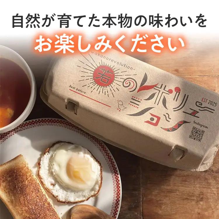 卵 放牧養鶏卵 30個 「破損補償2個含」 若のレボリューション 卵 ※北海道・沖縄・離島は配送不可