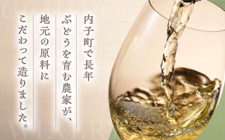 白ワイン (ピオーネ) 約720ml 2本 BKAG009 ワイン