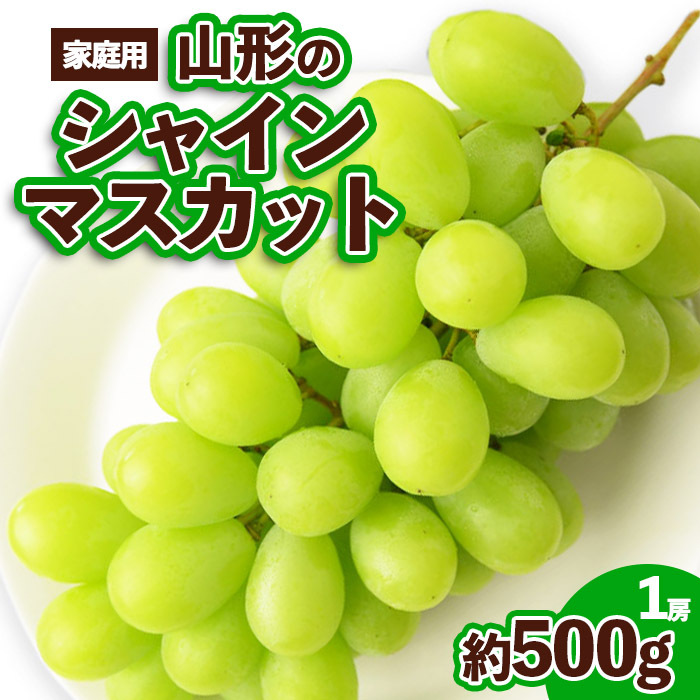 【ご家庭用】山形のシャインマスカット 優品 1房 約500g[9月中旬～10月中旬お届け] 【令和8年産先行予約】FS23-648 くだもの 果物 フルーツ 山形 山形県 山形市 2026年産