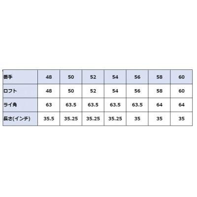 ふるさと納税 美作市 ウェッジ・ノーメッキ仕上げ 60°-NS PRO950S・AG-ダイアモンドMonstar |  | 03