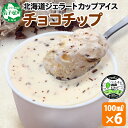 【ふるさと納税】 2335. くりーむ童話 カップアイス チョコチップ 100ml×6個 チョコレートチップ アイスクリーム アイス 手作り スイーツ おやつ ご褒美 デザート 牛乳 ミルク 贈り物 gift ギフト プレゼント お取り寄せ 詰め合わせ 詰合せ 送料無料 北海道 弟子屈町