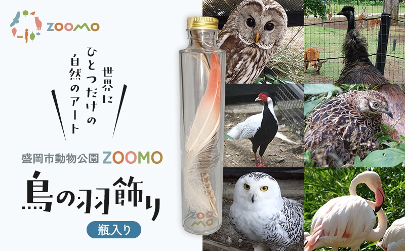 
                  ZOOMO鳥の羽飾り 1個 オリジナルグッズ インテリア 置物 おしゃれ かわいい 飾り 瓶飾り 雑貨 小物 鳥 羽根 羽 動物園 動物愛護 寄附 支援 保護 コレクション プレゼント ギフト 贈り物 思い出 記念品 岩手県 盛岡市 東北 岩手 盛岡 盛岡市動物公園ZOOMO
                