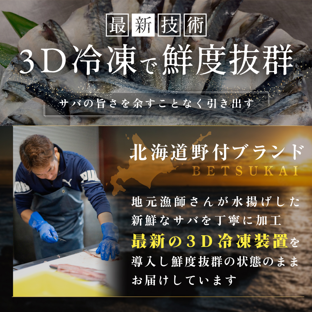 塩 サバ フィレ 訳あり  2kg