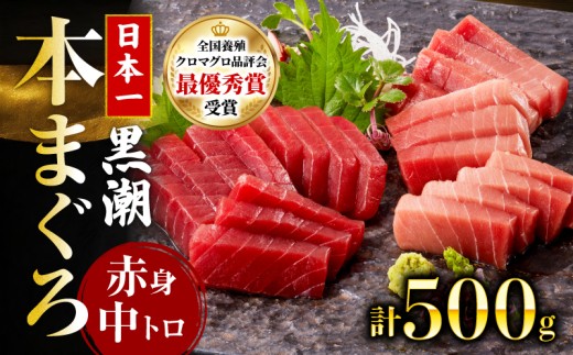 本マグロ2種セット ( 中トロ・赤身 ) 約500g   (高知道水)