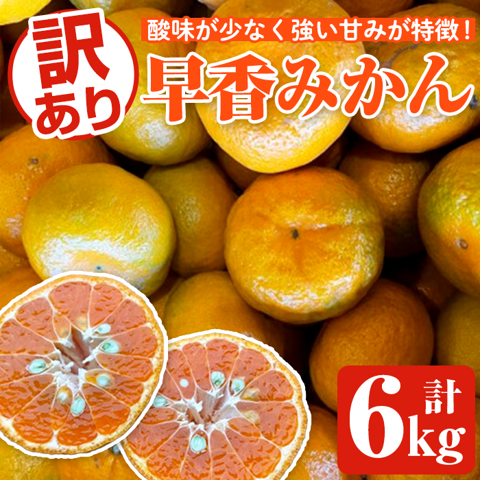 ＜先行予約受付中！2026年12月中旬以降順次発送予定＞訳あり早香みかん(計6kg) 国産 フルーツ 果物 蜜柑 柑橘 みかん 訳あり【松永青果】akn053-39
