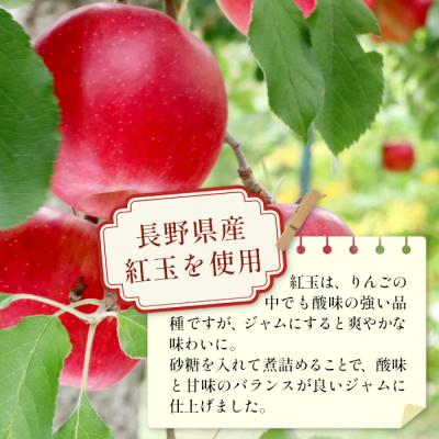 ふるさと納税 東白川村 国産紅玉使用!りんごジャム 3個 180g×3個 果物 フルーツ ジャム りんご 紅玉 |  | 02