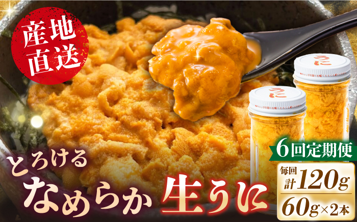 【全6回定期便】数量限定！壱岐の生うに 2本セット [JEH006] 180000 180000円