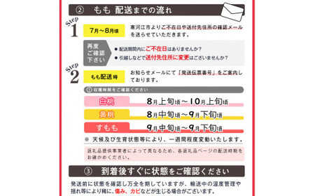 令和8年産 大きな すもも 「秋姫」 1.5kg（9 - 12玉） 2026年産 山形県産【2026年9月中旬頃から9月末頃発送予定】※ 配送不可 沖縄・離島　012-B-MM020