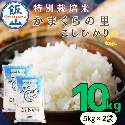 ふるさと納税 飯山市 【令和8年新米予約】特別栽培米 「かまくらの里 コシヒカリ」 精米 10kg (5kg×2袋)