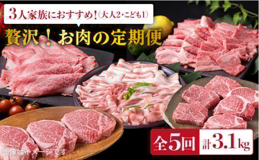美味しさ 満載 ！ 贅沢 お肉 セット の 定期便 全5回（月1回） 3人 家族用 【福岡 糸島産 牛肉 豚肉 鶏肉 ステーキ しゃぶしゃぶ すき焼き ヒレ シャトーブリアン ロース 】 糸島 / 糸島ミートデリ工房 [ACA084] 定期便 博多 和牛 すき焼き 定期便 切り落とし しゃぶしゃぶ ステーキ 焼肉 赤身 黒毛和牛 国産