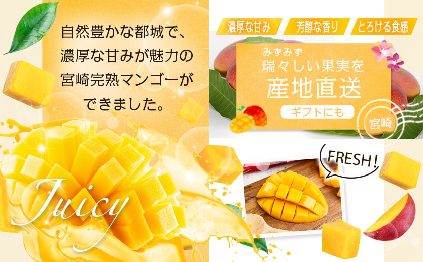 【先行受付!】宮崎完熟マンゴー2～3玉(都城産)_AC-3303