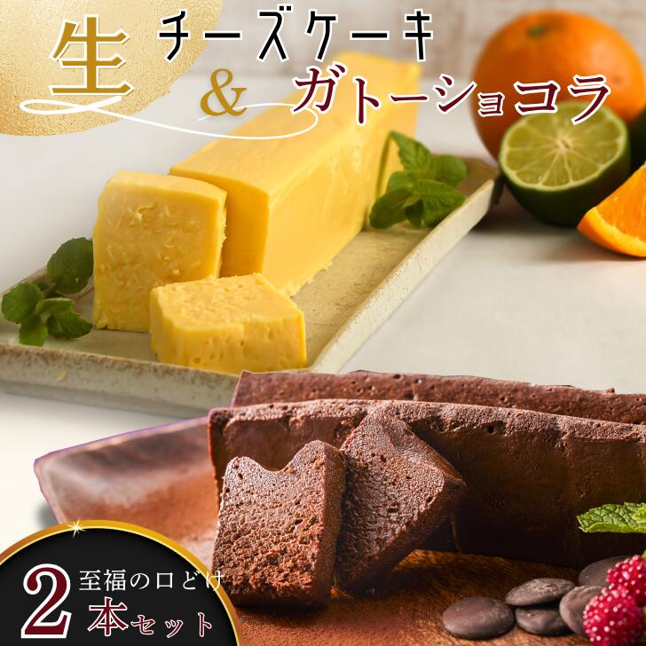 【ふるさと納税】至福の口どけ生ガトーショコラ&おりしま生チーズケーキセット：B160-038