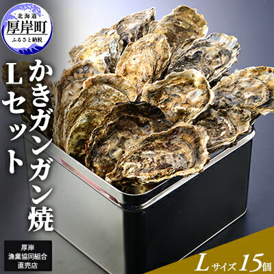 【ふるさと納税】【厚岸漁協直売店特製】 かきガンガン焼 Lセット 15個 北海道 牡蠣 カキ かき 生牡蠣 殻付 　魚介類・カキ・牡蠣