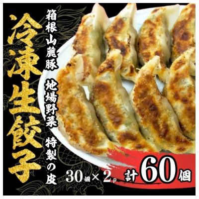 ふるさと納税 三島市 箱根山麓豚冷凍生餃子 30個×2パック | 