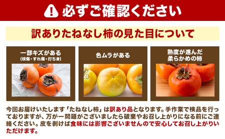 柿 訳あり たねなし柿 約1.5kg
