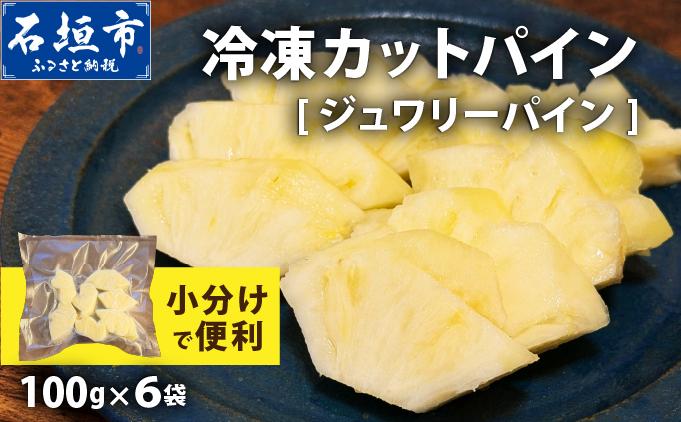 《6月以降発送》袋をあければそこは南国！完熟ジュワリーパインをカットして小分けでお届け！ 100g×6パック  TF-105 冷凍カットパイン（ジュワリーパイン）100g×6袋 | 沖縄県 石垣市 石