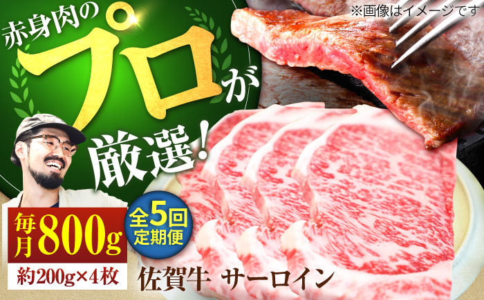 
            【牧場直送】【5回定期便】佐賀牛 サーロインステーキ 800g（約200g×4枚）【佐賀セントラル牧場】佐賀県産 牛肉 サーロイン ステーキ すてーき さーろいん ステーキ 九州 佐賀県 白石町 [IAH167]
          