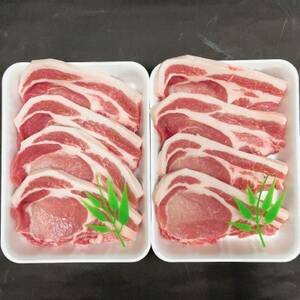 知多フレッシュポーク ロース テキカツ(計8枚 100g×4枚×2P)愛知県南知多町産 [配送不可地域：離島]