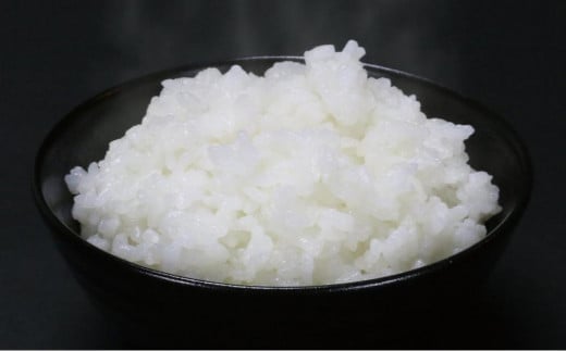 
            令和7年産新米 中魚沼産「新之助」5kg ＋ 魚沼産コシヒカリ「金印」5kg 食べ比べセット
          