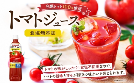 【定期便】4ヵ月毎全3回カゴメトマトジュース食塩無添加 720mlPET ns038-049 飲料 ｶｺﾞﾒ 野菜ｼﾞｭｰｽ ｾｯﾄ ﾘｺﾋﾟﾝ