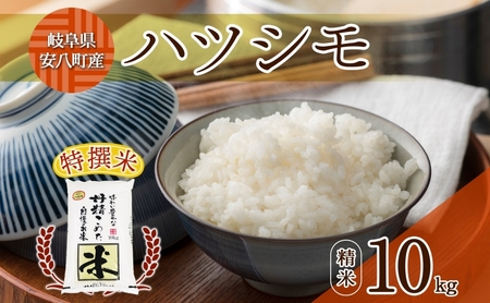 R7年産  特選米 ハツシモ 精米 10kg ×1袋 お米 米 白米 ごはん 新米 精白米 ご飯 はつしも 令和7年産 ブランド米 低農薬 お取り寄せ 産地直送 クリーンファームまき 送料無料 岐阜県 安八町
