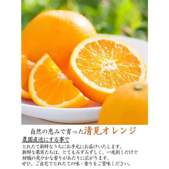 訳あり 清見オレンジ 混合 5kg ｜清見オレンジ