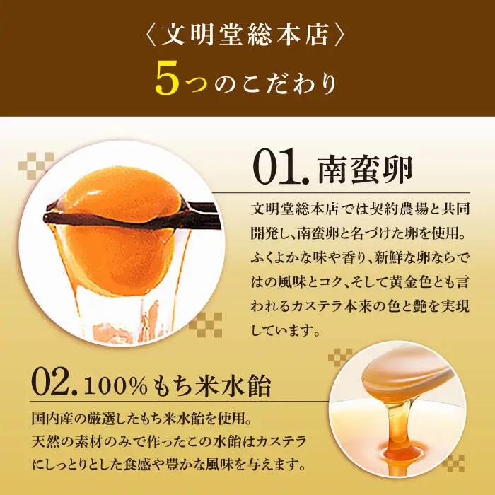 【12回定期便】長崎カステラ (10切×2)【カット済】 [DBF004] カステラ ケーキ