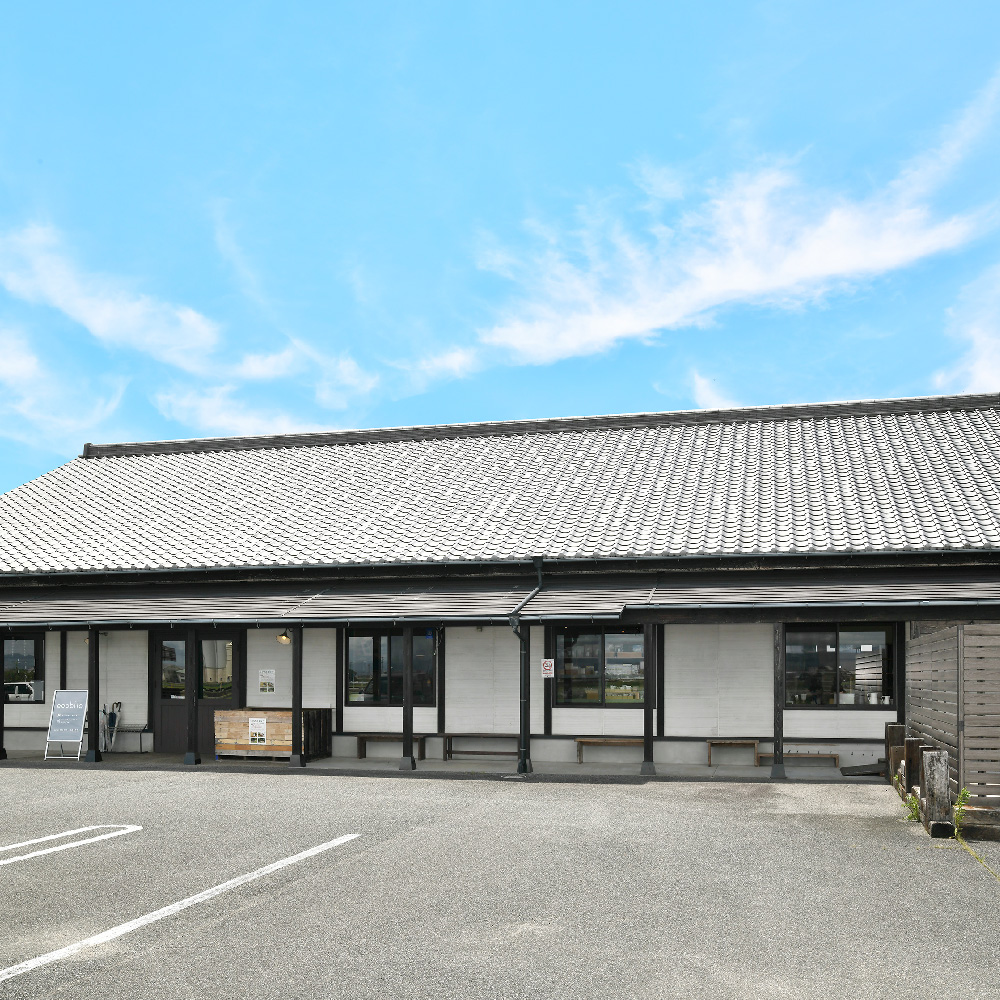 九州のくすのきから生まれたスリッパスタンド【天然 楠 木 くすのき 木製 家具 玄関収納 スリッパ収納 コンパクト】(H037113)