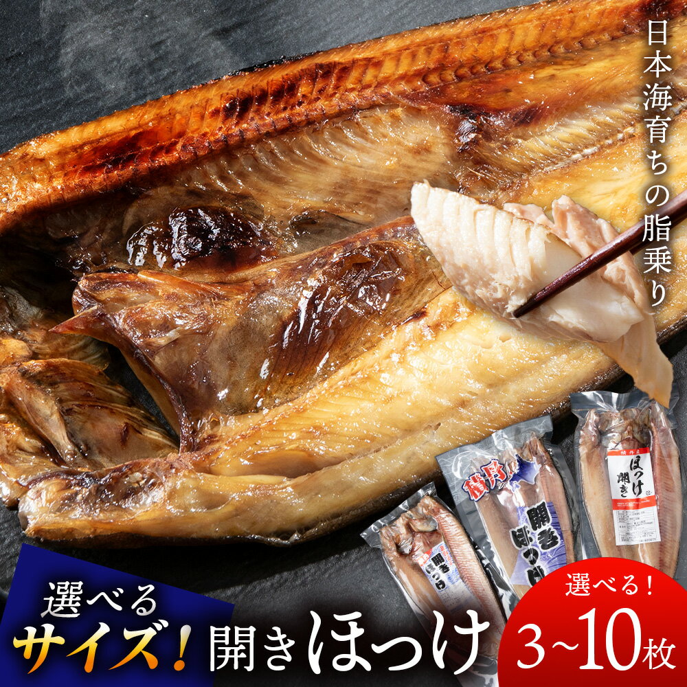 【ふるさと納税】☆選べる発送時期☆とにかく大きい開きほっけ　選べる3枚〜10枚 （1枚500g前後） ＜大川商店＞北海道ふるさと納税 積丹町 ふるさと納税 海鮮 北海道 ほっけ 開き ホッケ 北海道産 真ホッケ 魚 法華　12月発送