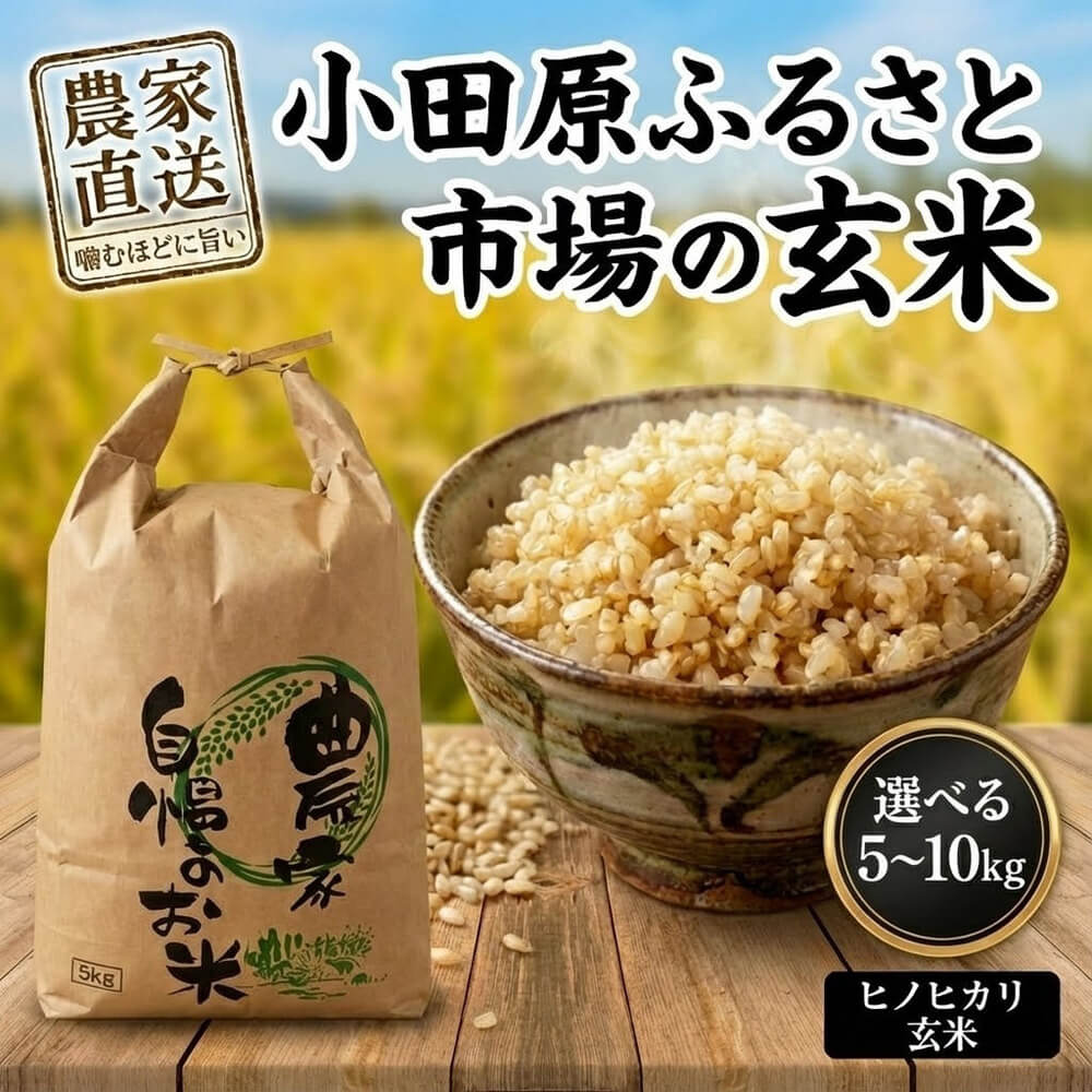 【ふるさと納税】小田原ふるさと市場の玄米 選べる 5kg / 10kg | 米 玄米 ひのひかり 玄米 ヒノヒカリ 大分県 九州 豊後高田市