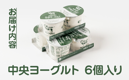ヨーグルト 2p 6個セットヨーグルト 中央製乳