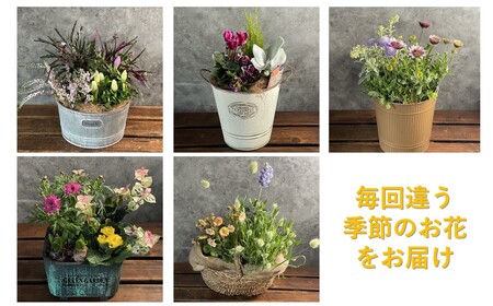 【定期便/12ヶ月】季節の寄せ鉢 岩手県 北上市 O0033  （ パルテール )  花 観賞用 アレンジ プレゼント ギフト 誕生日 お祝い クリスマス 卒業 入学 バレンタインデー ホワイトデー 