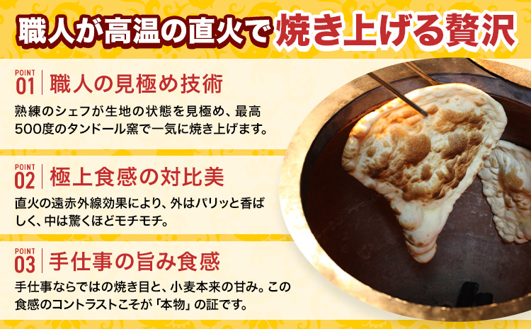 ガーリックナン 5枚  ジャムナコーポレーション株式会社 《30日以内に出荷予定(土日祝除く)》千葉県 我孫子市 チーズ ガーリック ナン インド 本格的
