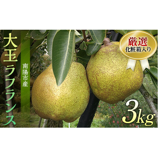 【令和7年産先行予約】 厳選！！大玉ラ・フランス 約3kg (6～8玉 4～6L) 化粧箱入り 《令和7年11月上旬～発送》 『船中農園』 山形県 南陽市 [1677]