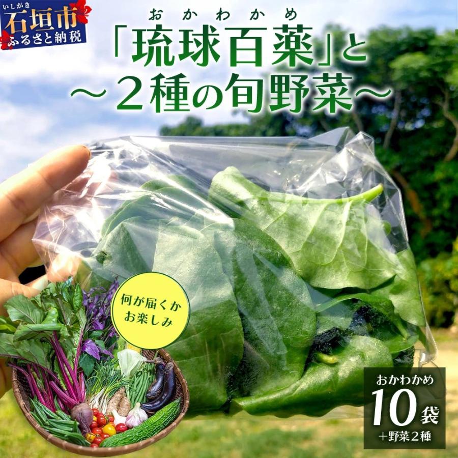 ふるさと納税 石垣市 沖縄の健康長寿の秘訣「琉球百薬(おかわかめ)」10袋と旬の野菜詰め合わせ