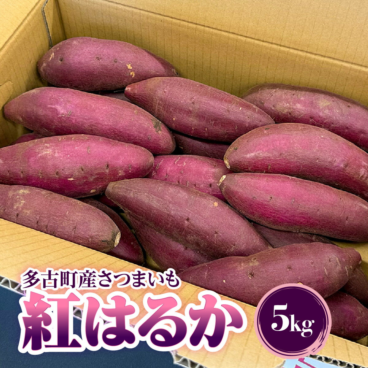 【ふるさと納税】多古町産さつまいも「紅はるか」5kg【TAKF033】