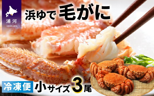 【ふるさと納税】＜冷凍＞漁協の浜ゆで毛がに 小サイズ3尾セット [02-785]