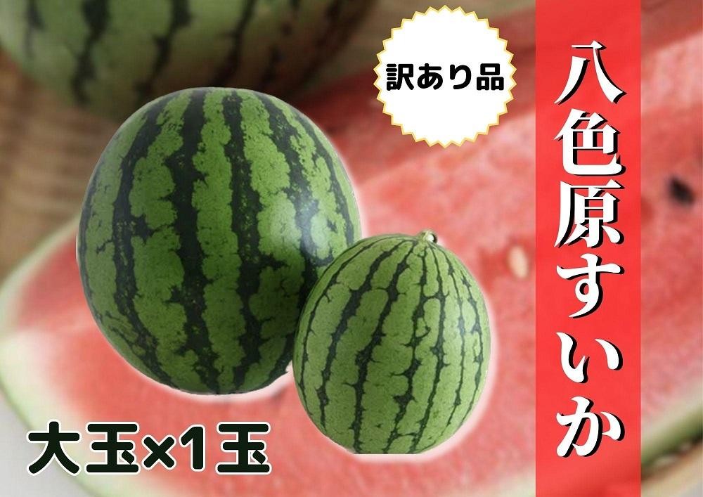 
                  先行予約【新潟県南魚沼産】【わけあり】八色原スイカ 大玉１玉【西瓜 スイカ すいか 訳あり 大玉 季節限定 果物 フルーツ ギフト 名産地 産地直送 シャキシャキ 厳選 デザート 新潟県】【2026年7月下旬発送】【お届け日時指定不可】
                