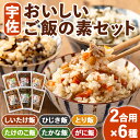 【ふるさと納税】宇佐おいしいご飯の素セット(6種)ご飯の素 混ぜご飯 簡単 時短 おにぎり お弁当 郷土料理 食べ比べ セット【102200101】【観光館　文福】