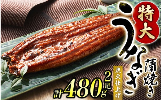 
										
										1尾で約240gのビッグサイズ うなぎ蒲焼 2尾 計約480g （タレ・山椒付き） 中国産 鰻 うなぎ うなぎの蒲焼 炭火焼き 炭火 特大サイズ【nks700B】
									