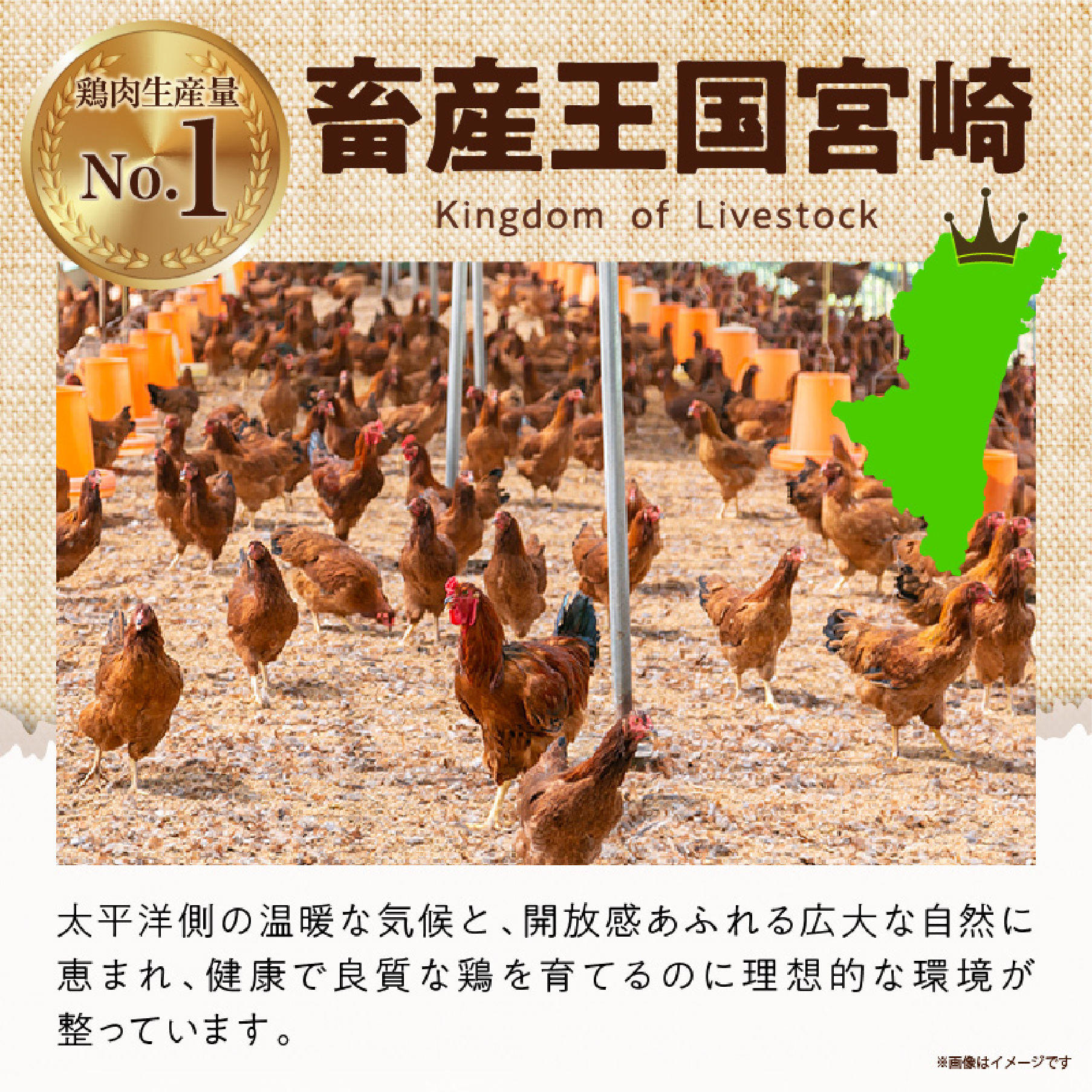 【業務用】宮崎県産若鶏もも肉 むね肉 大容量パック 計8kg 国産 鶏肉 若鶏 もも肉 むね肉 冷凍 詰め合わせ セット 大容量 業務用 お徳用_イメージ2
