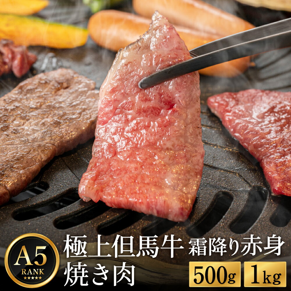 【ふるさと納税】極上但馬牛 焼肉用 【選べる内容量 500g・1kg】 / 牛肉 焼肉 焼き肉 やきにく 黒毛和牛 赤身 霜降り 焼き肉用 黒毛和牛 国産牛 肉 国産 特産品 お祝い ギフト【但馬ビーフはまだ】