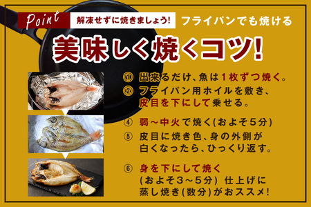 シーライフ のどぐろ一夜干し7～8枚で計1.0kg 「大人気セット」【005_2065】