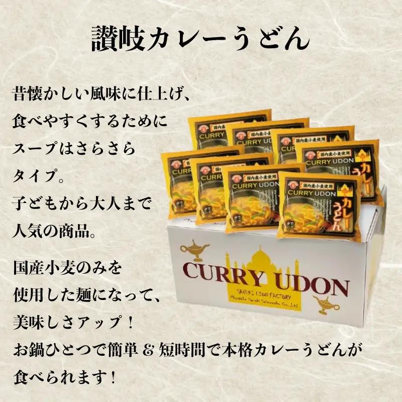 【定期便3回毎月】さぬきうどん ＆ カレーうどん セット 8人前 定期便 出汁 スープ付き