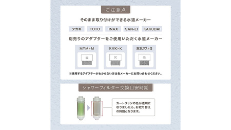 LINKA esthé アロマエッセンス ビタミンシャワーフィルター（ライム） リンカ LINKA 美容 美容機器 シャワー お風呂 美容液 シャワーヘッド バスタイム 浄水器 リラックス アロマ