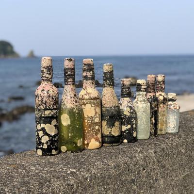 ふるさと納税 伊東市 白ワイン潜酔酒(シャルドネ) |  | 01